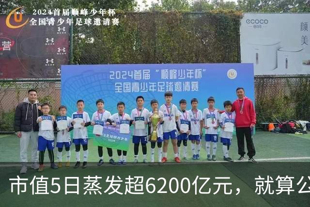 市值5日蒸发超6200亿元，就算公开新款跑车，特斯拉也没资本买账